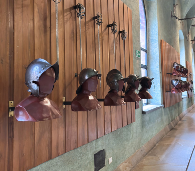 Vai alla pagina Armeria