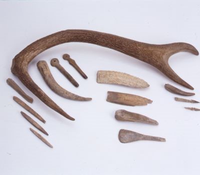 Vai alla pagina Bibliografia