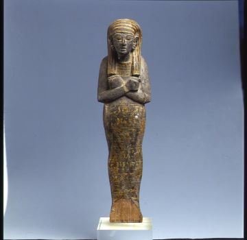 Vai alla pagina Il percorso museale