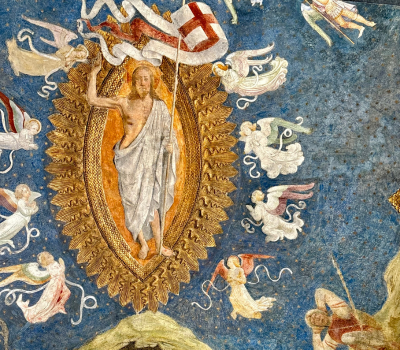 Vai alla pagina Gli ambienti di origine sforzesca