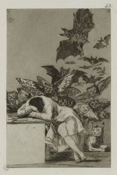 Vai alla pagina Francisco Goya Y Lucientes, Il sonno della Ragione genera mostri