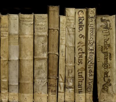 Vai alla pagina Il patrimonio