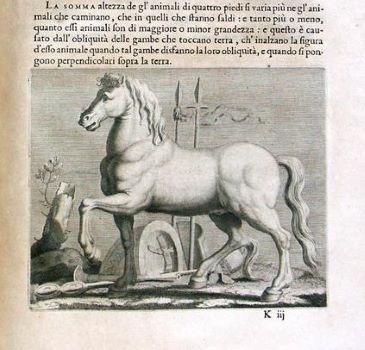 Vai alla pagina Pubblicazioni