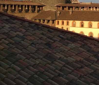 Vai alla pagina Merlate